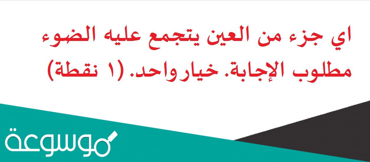 اي جزء من العين يتجمع عليه الضوء مطلوب الإجابة. خيار واحد. (1 نقطة)