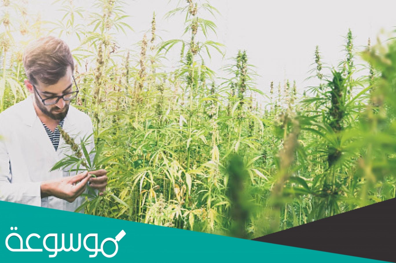 ما سبب شعور المدمن على عقار