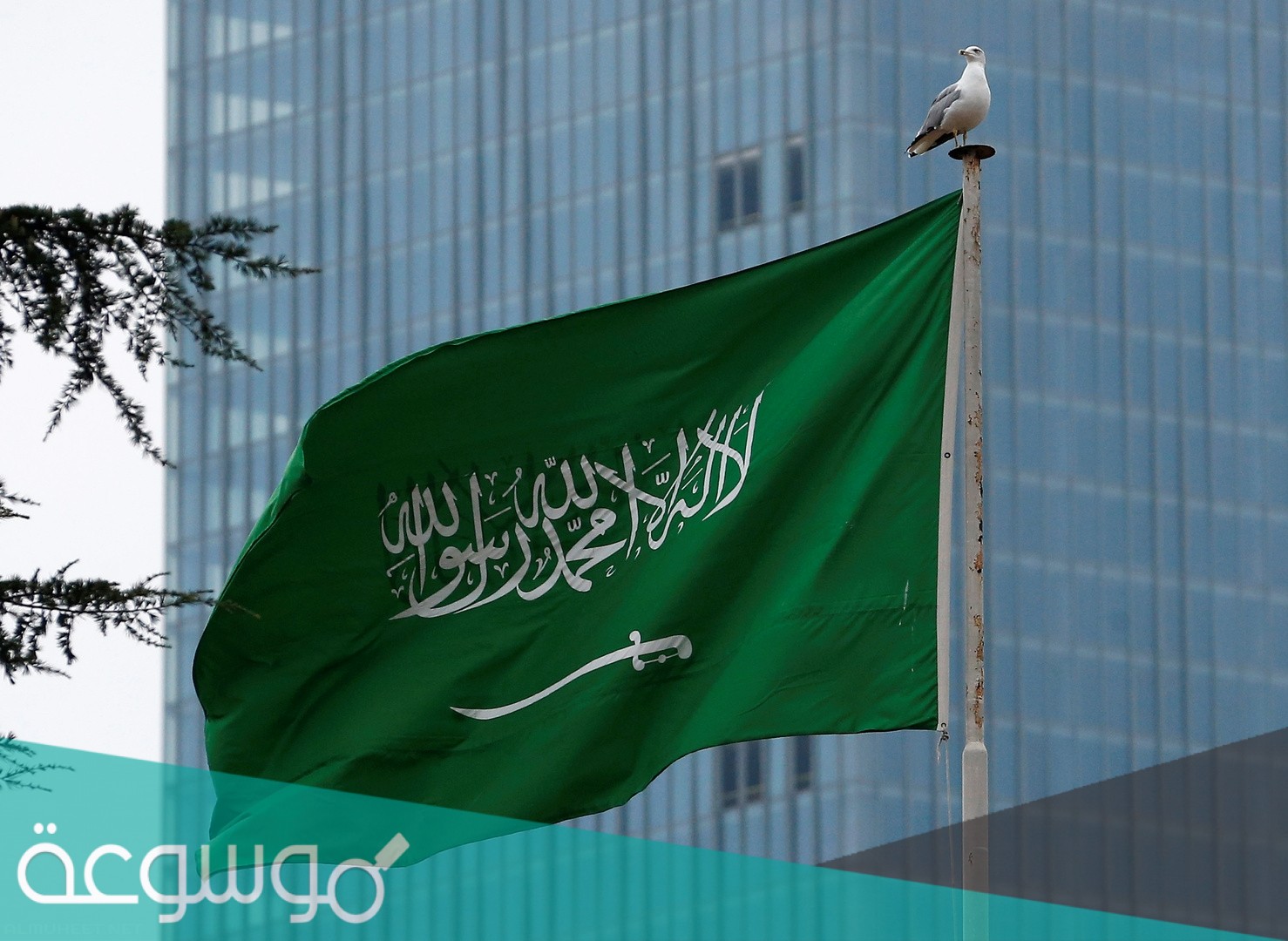العطوي وش يرجع