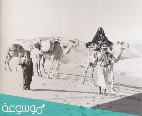 المنصوري وش يرجعون