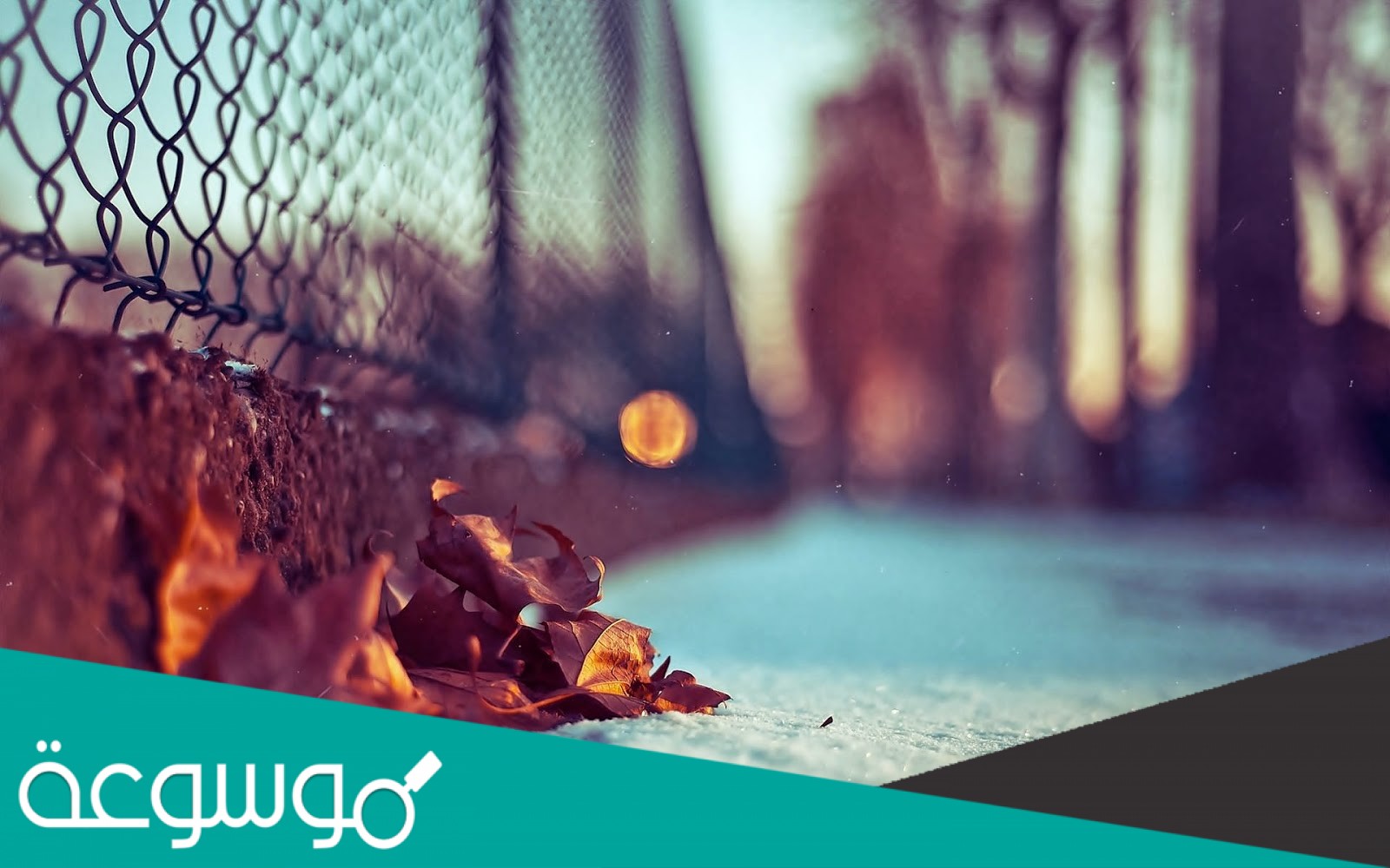 يعتبر من أهم الوسائل المستخدمة في الدعاية والإعلان