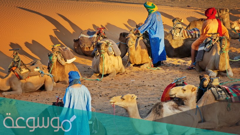 قبيلة الزعبي وش يرجع