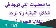 مالعضيات التي توجد في الخلايا النباتية ولاتوجد في الخلايا الحيوانية؟