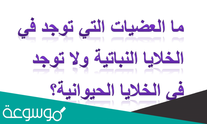 مالعضيات التي توجد في الخلايا النباتية