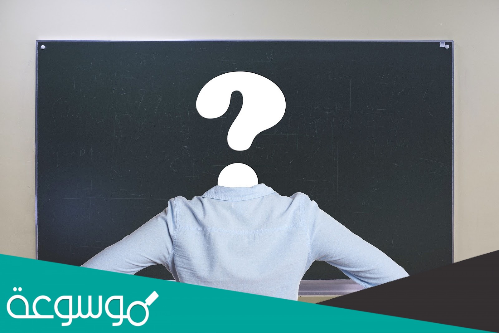 في اي مرحلة يتكون الغشاء الرهلي