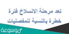 تعد مرحلة الانسلاخ فترة خطرة بالنسبة للمفصليات