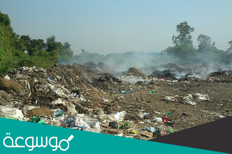 اقترح اثنين من الحلول التي قد تسهم في الحد من تلوث البيئة ؟