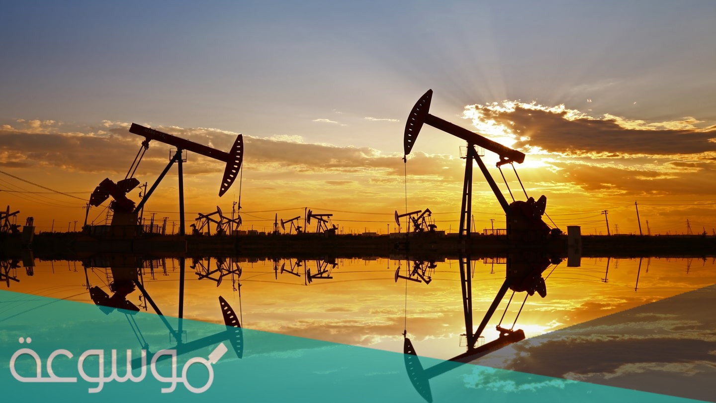 يختزن الوطن العربي ....... من احتياط العالمي من النفط