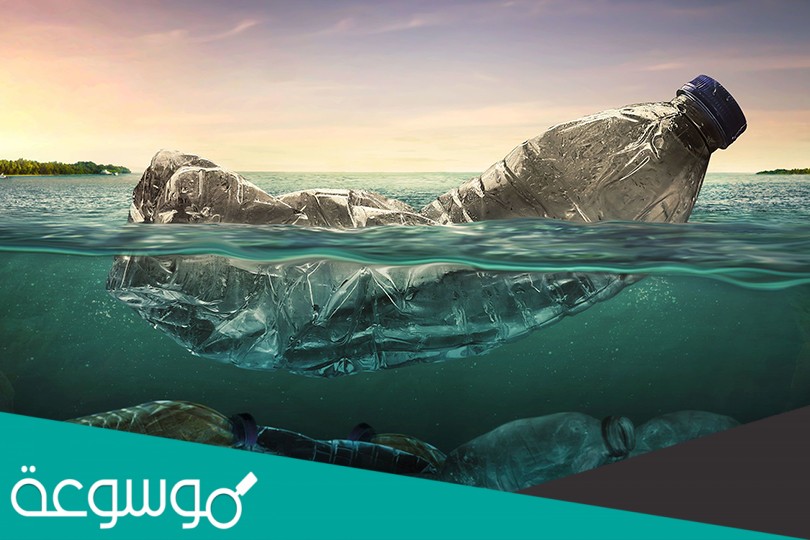 كيف يمكن أن يؤثر التلوث على حياة الكائنات البحرية كالأسماك والحيتان؟ اشرح إجابتك،