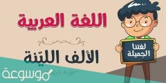 تأتي الألف اللينة في بداية الكلمة