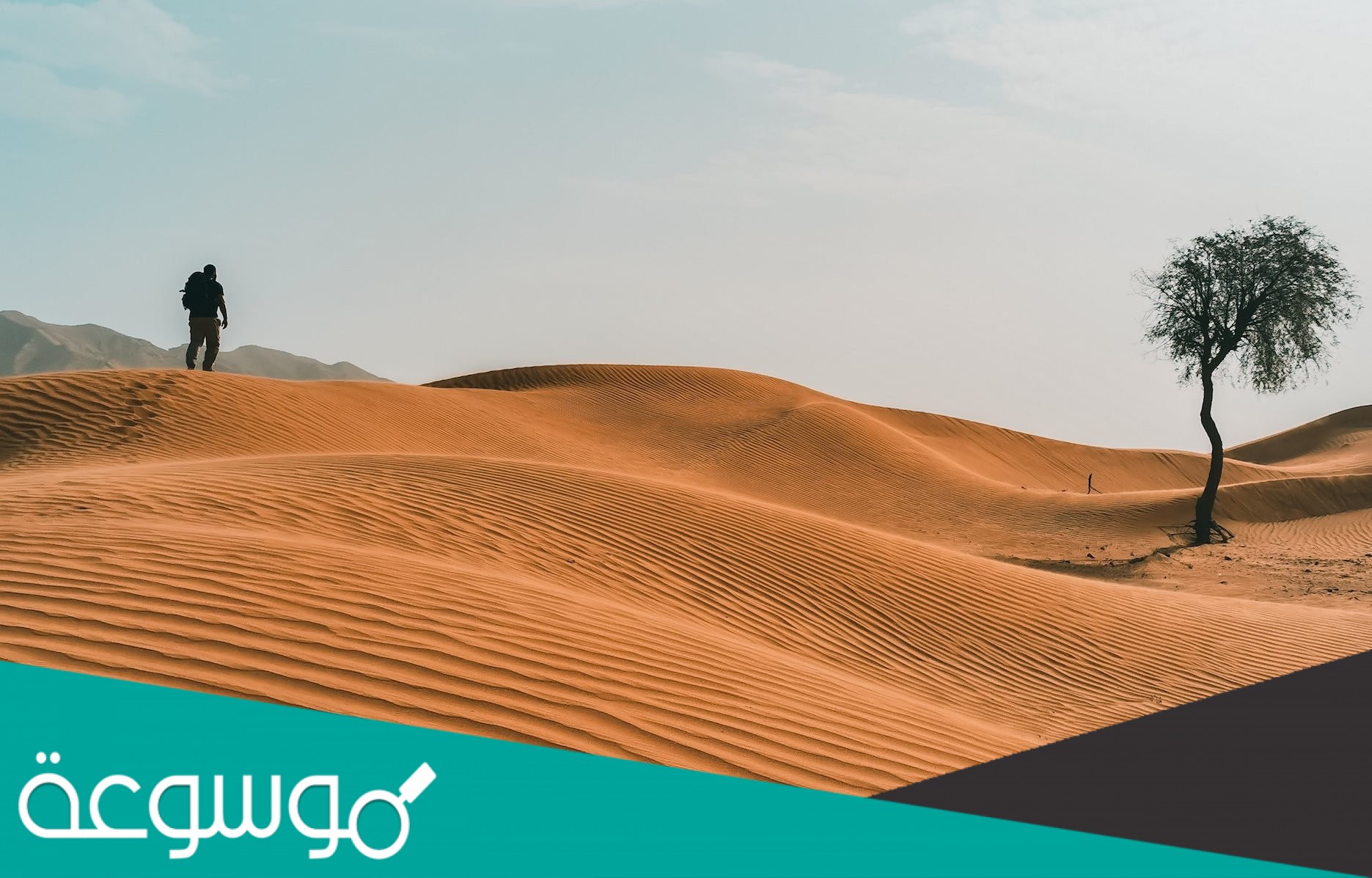 الفايز وش يرجعون