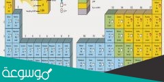 تصنف العناصر في الجدول الدوري إلى فلزات ولا فلزات فقط