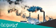 اذكر اربع طرائق يؤثر بها تلوث الهواء في البيئه
