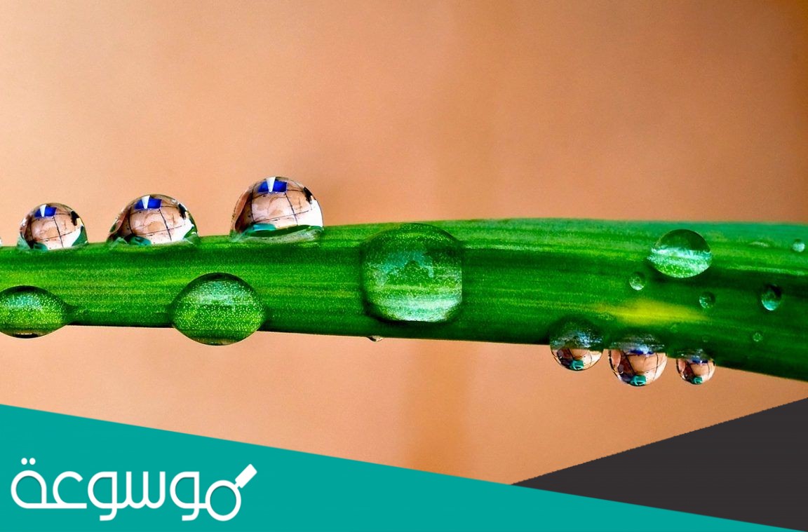 كمية بخار الماء في الغلاف الجوي تسمى