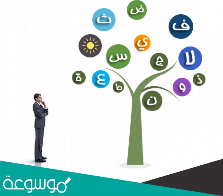 عند كتابة الهمزة المتوسطة نلاحظ حركة الهمزة وحركة الحرف الذي قبلها