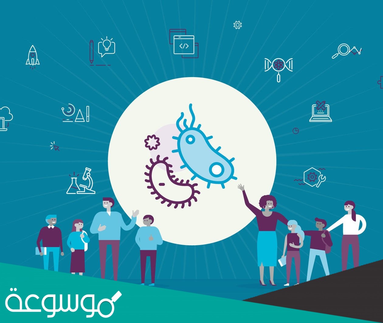 المجتمع الحيوي المستقر الذي ينتج عندما يكون هناك تغير طفيف في عدد الأنواع