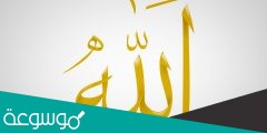 من صفات الله الواردة في حديث اشج عبد القيس