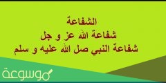 الشفاعة المثبتة هي التي تطلب من ؟