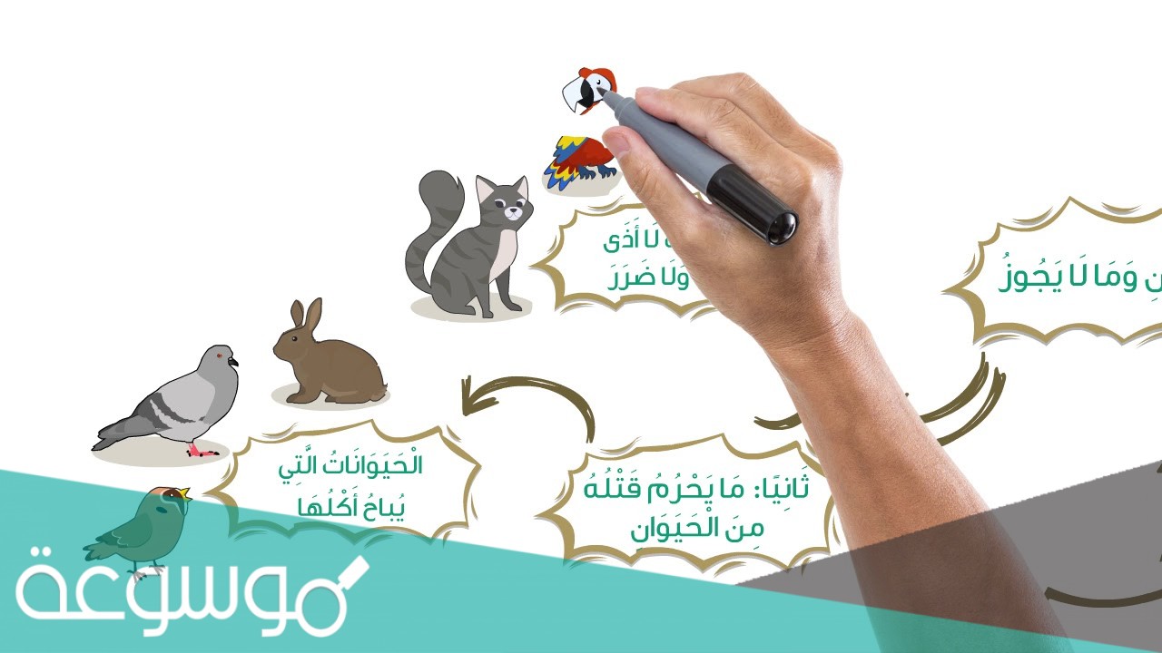 ما يجوز قتله من الحيوانات