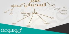السحيباني وش يرجعون