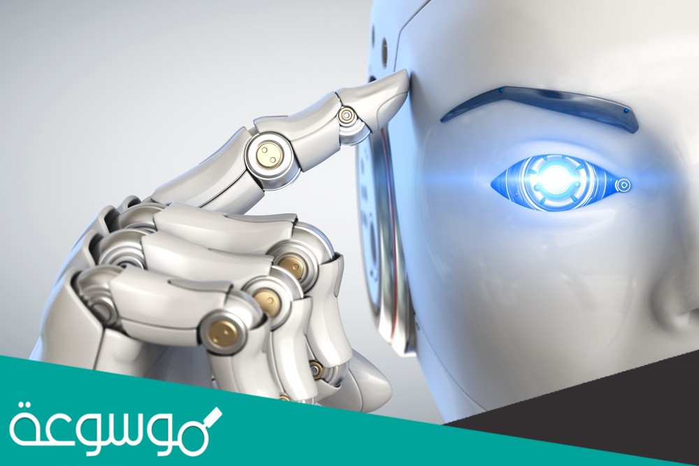 هذا الجزء من برنامج روبومايند يسمى؟