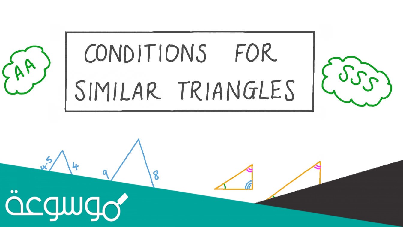 أي زوج من المثلثات التالية متشابهان