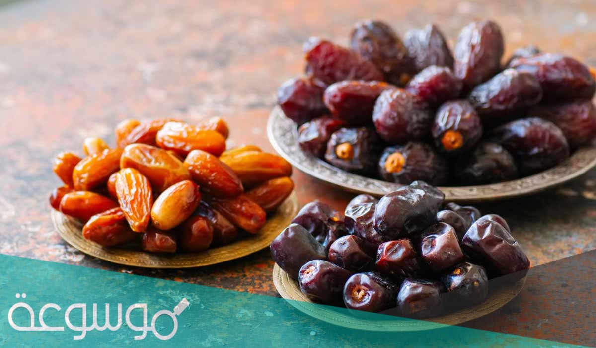 ما مرتبة المملكة العربية السعودية في انتاج التمور