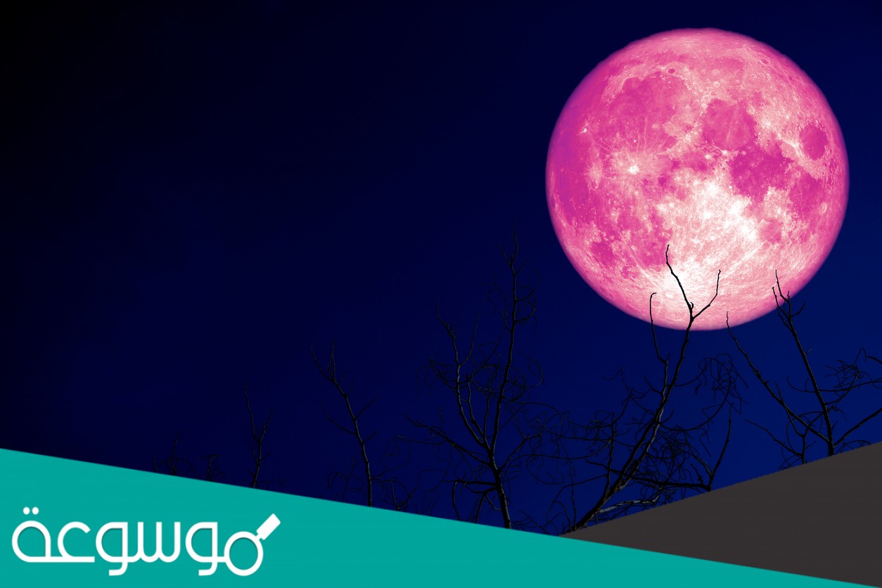 أي مما يلي ليس من معالم سطح القمر