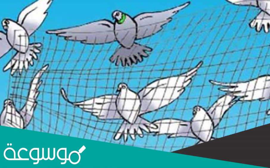 اتصف الجرذ في قصة الحمامة المطوقة بالوفاء والنجدة لصديقته الحمامة
