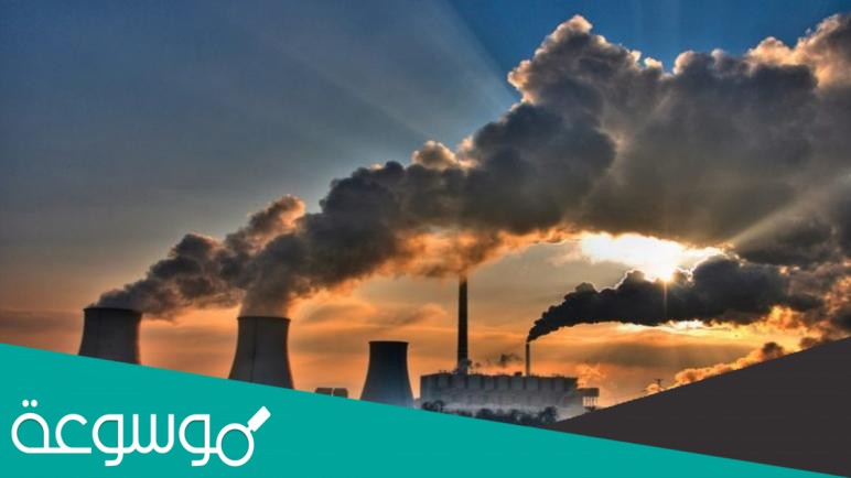 اقترح اثنين من الحلول التي قد تسهم في الحد من تلوث البيئة ؟