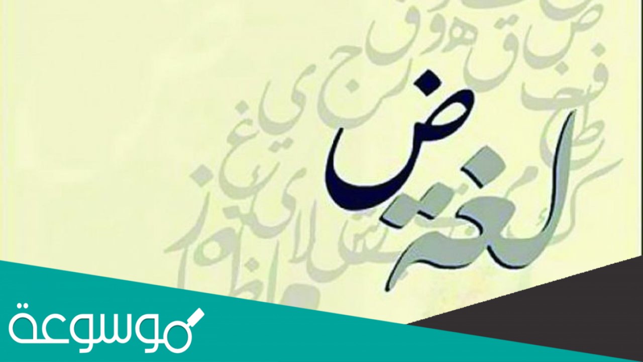 احكم على الجملة من حيث الصحة أو الخطأ ذاكرت كتابا التوحيد