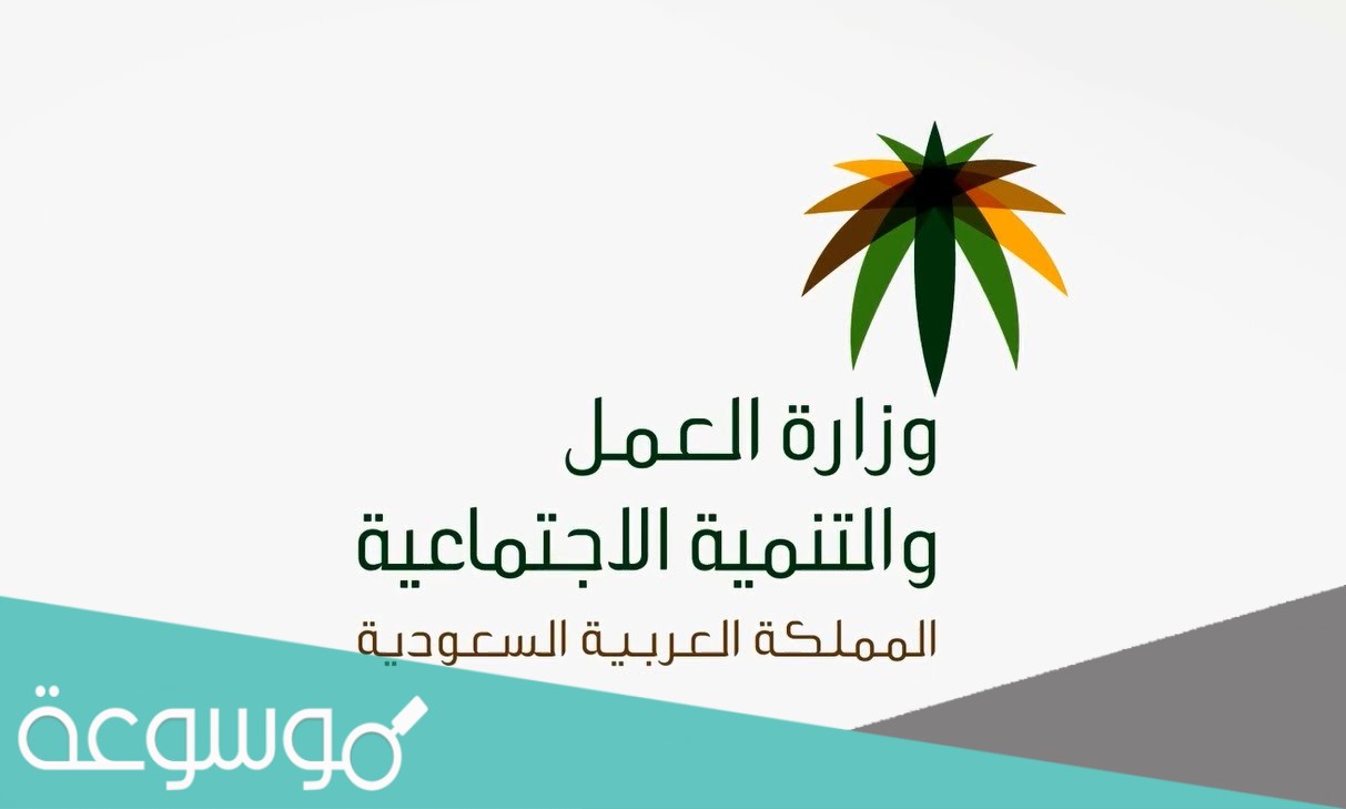 استعلام عن حالة الضمان الاجتماعي بالسجل المدني