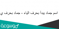 اسم جماد بحرف الياء جماد بحرف ي