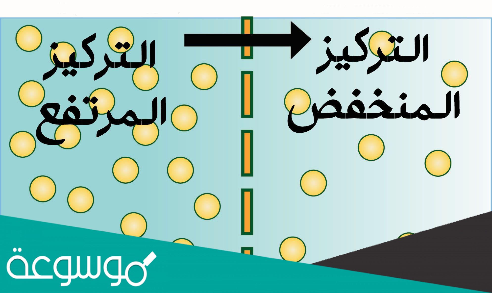 الخاصية الاسموزية هي حركة الماء من الخلية واليها