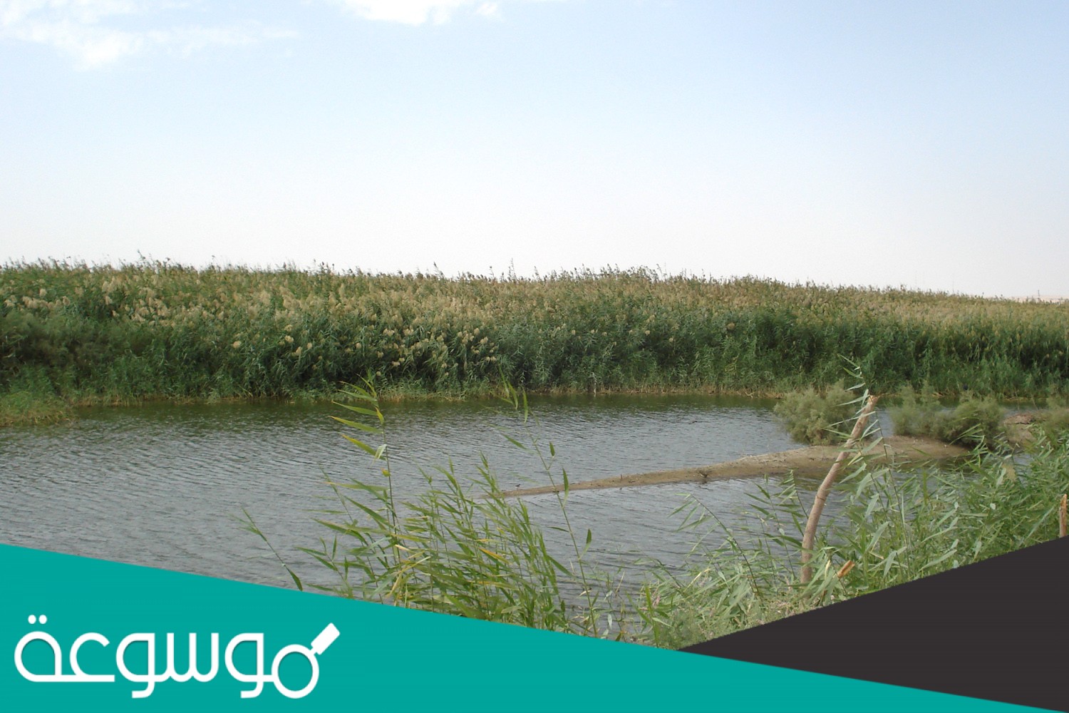 اكبر محمية طبيعية في الكويت