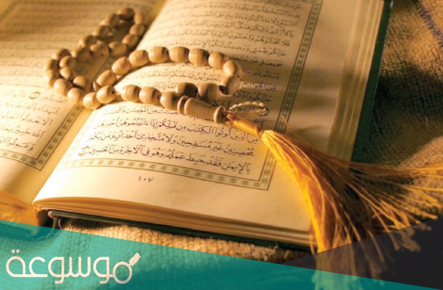 ما يفعله المسلم من الامور المشروعه غير الواجبه