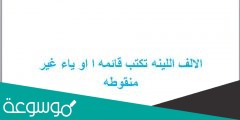 الالف اللينه تكتب قائمه ا او ياء غير منقوطه