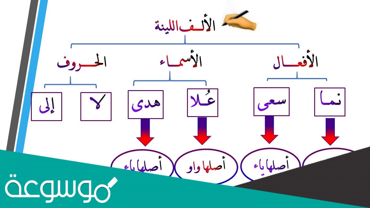 الالف اللينه تكتب قائمه ا او ياء غير منقوطة