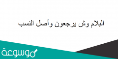 البلام وش يرجعون وأصل النسب