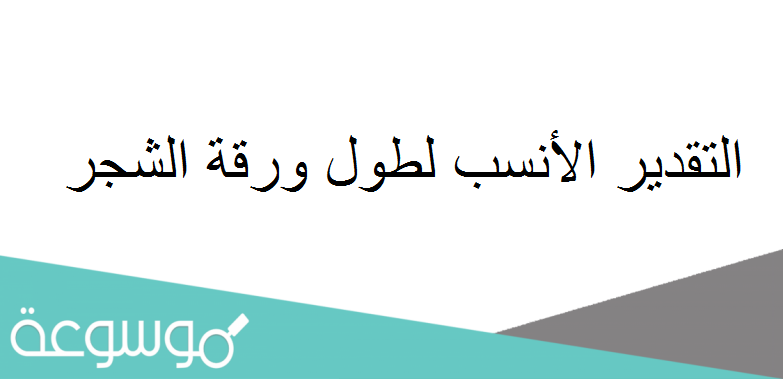 التقدير الأنسب لطول ورقة الشجر