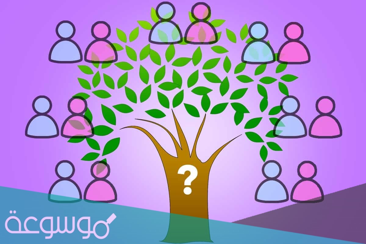 آل رشيد وش يرجعون