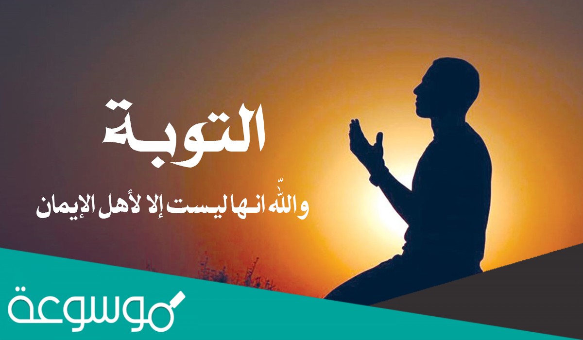 الدليل على عظم عفو الله تعالى عن عباده أنه لم يعاجلهم بالعقوبة بل دعاهم إلى التوبة