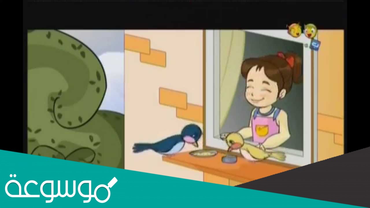 الرافه بالحيوان ورحمته قد تكون سببا