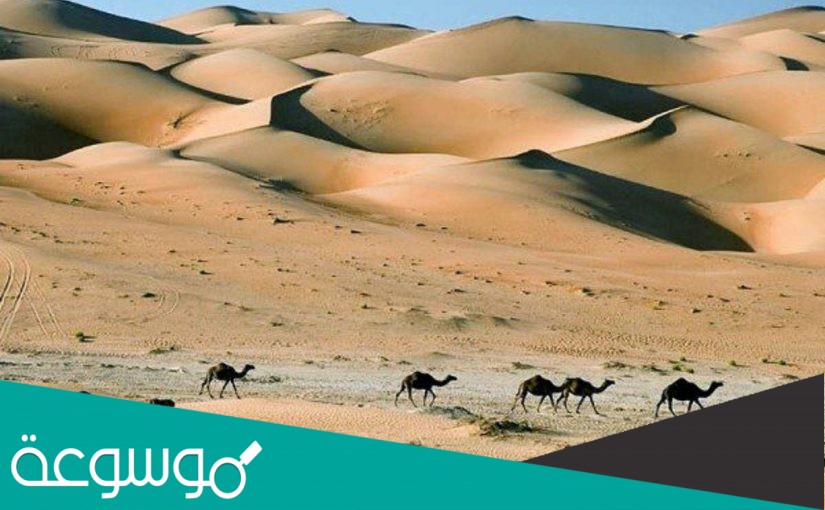 البلوشي وش يرجع أصل النسب