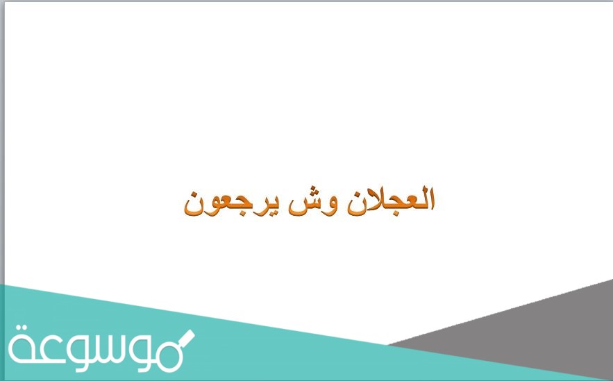العجلان وش يرجعون