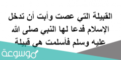 القبيلة التي عصت وأبت أن تدخل الإسلام فدعا لها النبي صلى الله عليه وسلم فأسلمت هي قبيلة