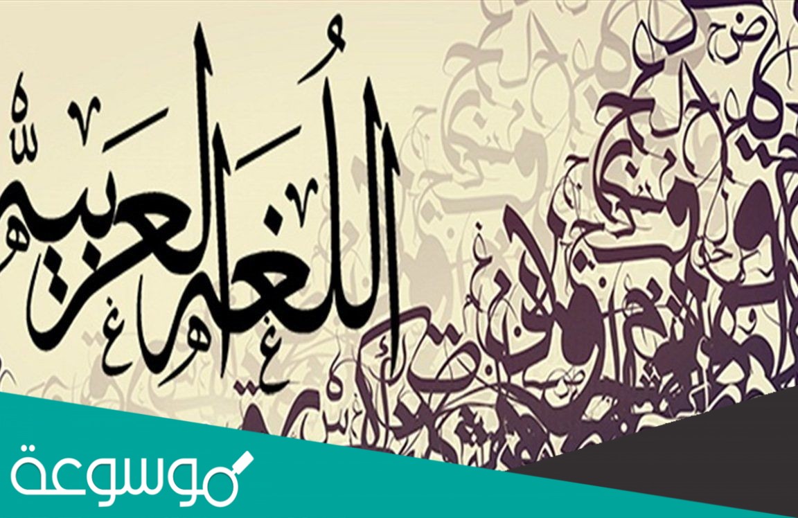 جموع المؤنث السالم التي رسمت فيها همزة المد هي