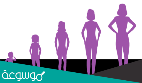 المرحله التي تنضج فيها الغدد التناسليه وتنتقل الفتاة من مرحلة الطفولة إلى مرحلة النضج هي