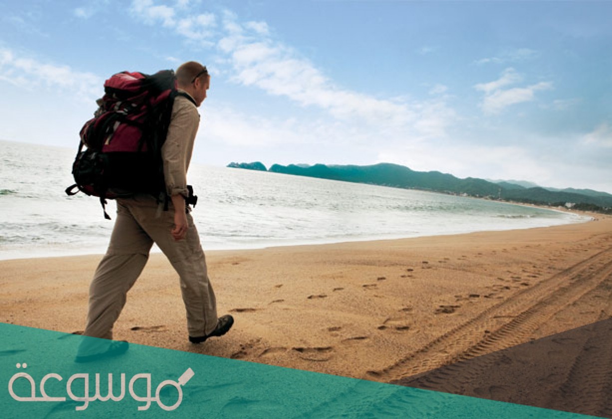 المسافر الذي نفذ ما معه يسمى