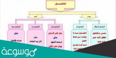 المفاعيل هي متممات لمعنى الجملة